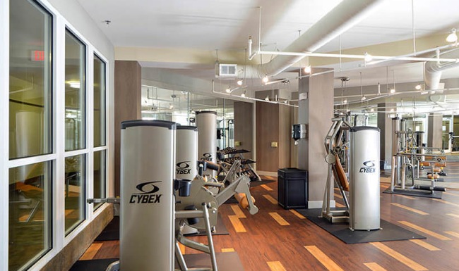 track lighting throughout gym